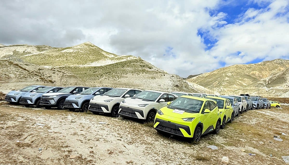 APF Seizes 774 Electric Vehicles Suspected of Customs Evasion from Korala Border